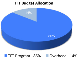 TFT Budget Allocation